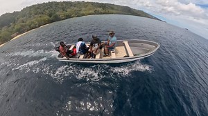 We visited the place of giant clam and the World War 2 American plane wreckage at Lelepa Island | Bula Boys Abroad