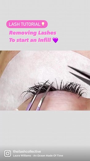 Lash & Brow Supplies • Courses on TikTok
