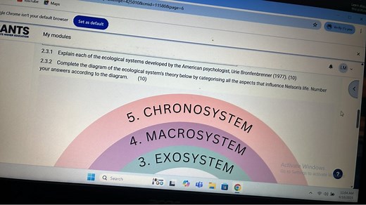 2.3.1 Explain each of the ecological systems developed by the A... | Filo