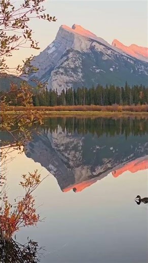 🍁 Autumn in Banff, Alberta, Canada 🇨🇦✨ #banff #bowfalls