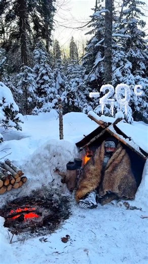 Surviving -20°C in the Wild 😱❄️ #survival #camping #wintercamping