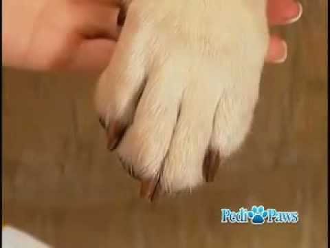 PediPaws - Pet Grooming Clipper As Seen on TV