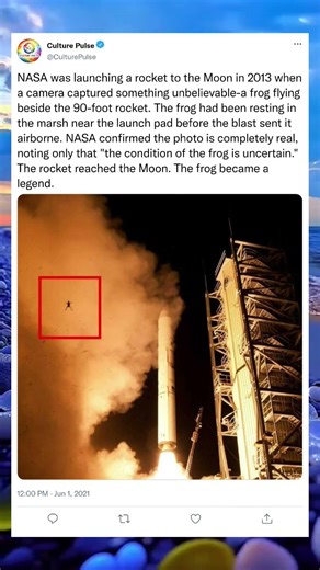 Frog Takes an Unexpected Flight During NASA Rocket Test #shorts