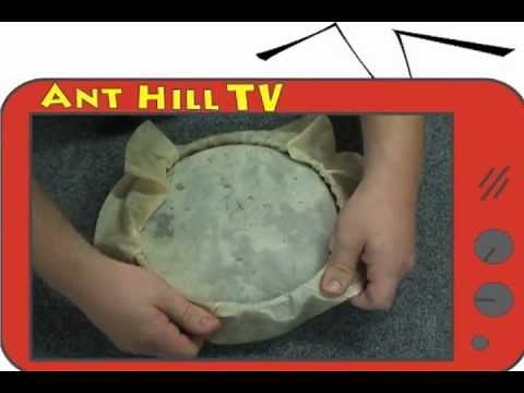 Ant Hill TV - How to replace/install a calf skin head on a banjo ukulele