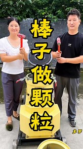 It’s so easy to make pellets from sticks #pellet machine manufacturer #agriculture flow support plan #feedpellet machine | New Tecnology