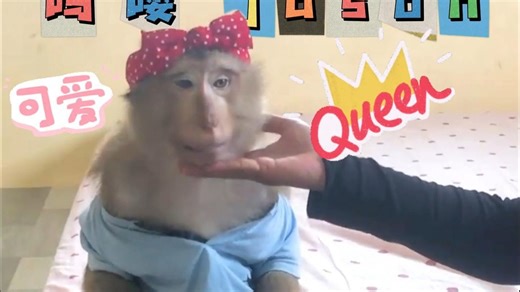 吗喽jason还是很配合麻麻的变装玩法