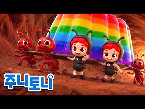🐜개미집에서 젤리 가져오기 | 알쏭달쏭 개미집에서 무지개 젤리를 찾아요🔍 | 곤충동요 | 주니토니 | JunyTony