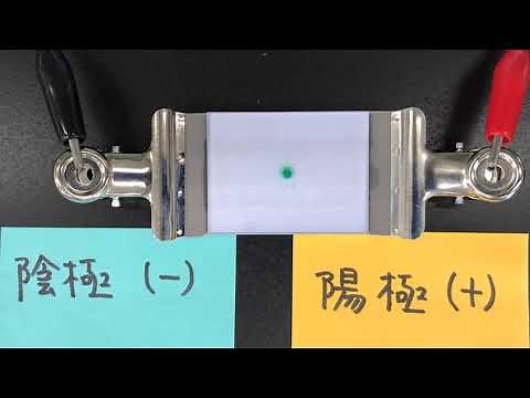 CuCl2の電気泳動