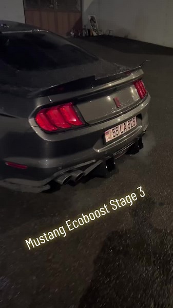 Mustang Ecoboost Stage 3 Precision Turbo #aemmethanol #precisonturbo #mishimotocooling #carbonmonster #bodykit #ecoboostmustang #boosted #chiptuning #msdcoils #borlaexhaust