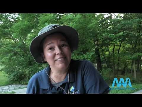 Birds of Indiana: Backyard Birdwatching and Beyond