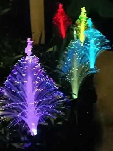 Christmas is coming. So cool!  I want this for my Christmas! | Gotpredict.3 | Facebook