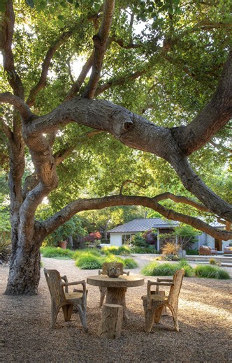 How to design a drought-tolerant gravel garden that looks lush year-round