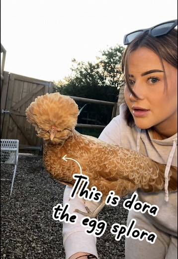 Dora the Egg Explorer: A Hilarious Commentary