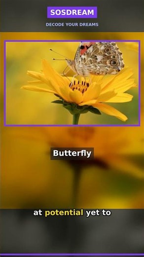 Unlocking the Meaning of Butterflies in Dreams #Shorts