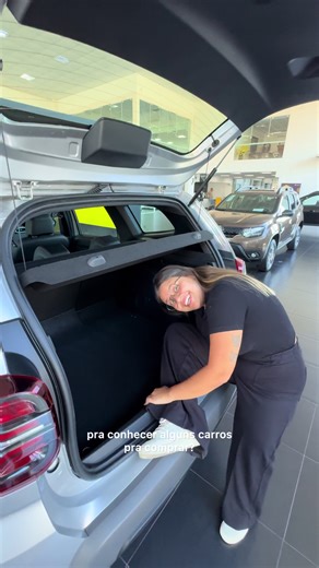 Festival da Virada Renault: Conheça o Renault Kardian