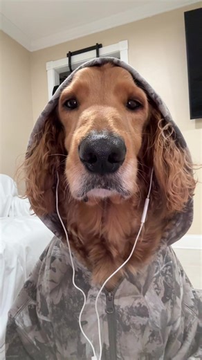 First Listen: 'Nights' by Frank Ocean