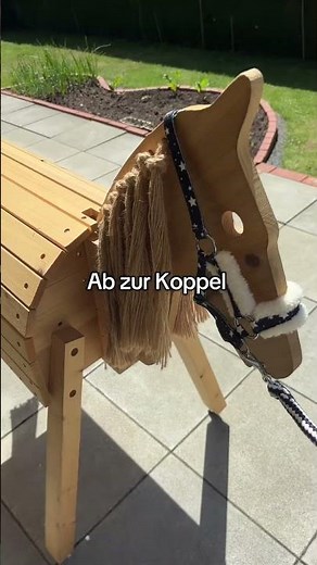 Holzpferde Vlog✨ #holzpferd #horse #vlog
