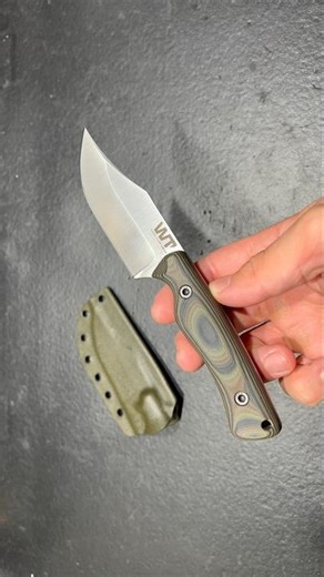 The work tuff gear pwb-edc. Is it worth it? #outdoors #tools #bushcraft #fixedblade
