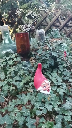 Ein Zwerg ist keine "Flasche" Wir alle sind klein 🤔