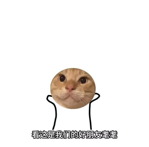 耄耄 on Instagram: "#耄耄成長記"