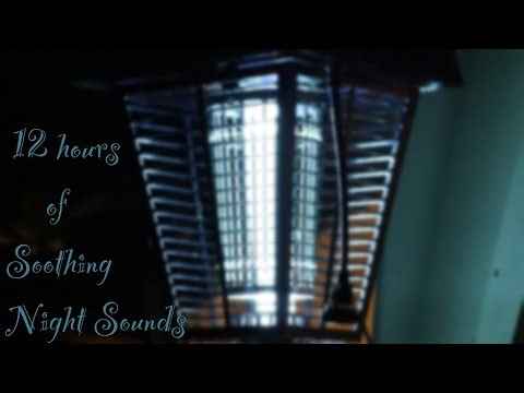 ASMR 10 Hours (25 mins + Black Screen) Summer Bug Zapper w Sounds of Cicadas Crickets & Nearby Road