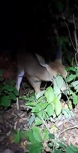 891K views · 10K reactions | Cherry Hill, NJ***UPDATE:I WAS NOT ABLE...