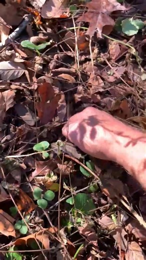 Tony Grayson on Reels