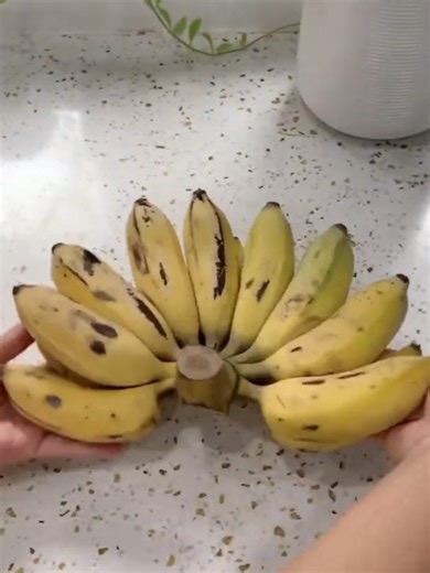 Incredible Facts About Life and Health You Should Know