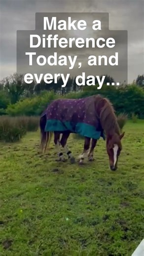 Make a difference with EQU StreamZ
