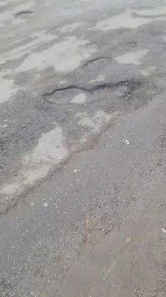 1 Not nice (@1.not.nice)’s videos with original sound - 1 Not nice