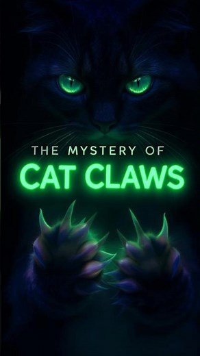 The Shocking Truth About Cat Claws