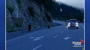 Quick-thinking drivers save cyclist from possible bear attack on B.C. highway