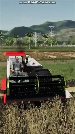 ngày 8 tháng 11, 2025