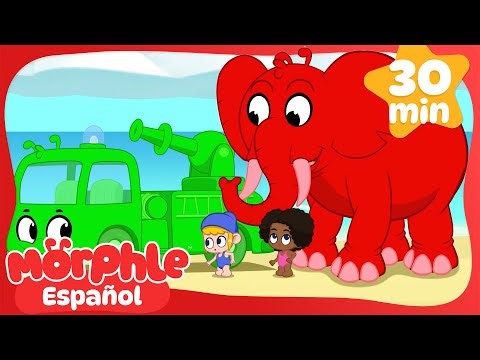Guerra de Agua de Morphle y Orphle 💦 | Compilación Morphle | Caricaturas para Niños | Morphle