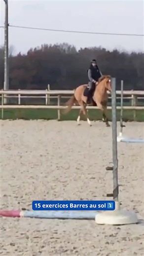 15 Exercices Barres au sol ⤵ sio.terredesportequestre.com/exos-barres-au-sol #cheval #horse | Terre de Sport Equestre