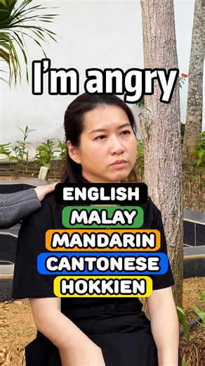 25K views · 485 reactions | 5 Languages to say - I'm angry 5 种语言来说 - 我生气了 I'm angry Saya marah ni 我生气了 wo sheng qi liao Ngo nau gan aa 我嬲紧呀 Wah ti tulan diao ah #DifferentLanguage #LanguageLearning #Multilingual #LanguageChallenge #SpeakMultipleLanguages #English #Malay #Mandarin #Cantonese #Hokkien 第六种的，你学废了吗？ The 6th one, you learnt? | Jing Jing 妗妗 | Facebook