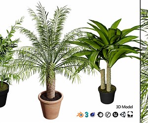 ArtStation - indoor palm collection | Game Assets