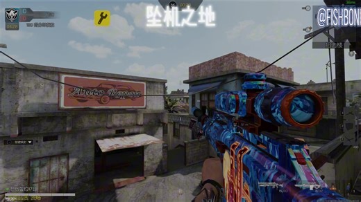 让你在codm中有更好的瞄准以及点位分析（新手向教程）