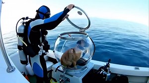 15K views · 189 reactions |  Many of today’s problems trace back to...