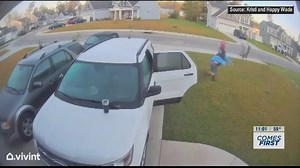 Rabid bobcat attacks woman