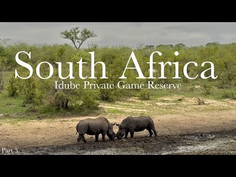 Witnessing a Rhino Stand-Off on Safari
