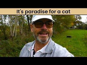 How I am creating my perfect property in France