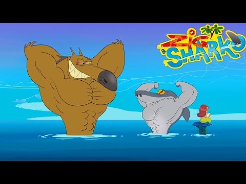हिंदी Zig and Sharko New Hindi Episode 2024 || Episode 2 || Zig And Sharko Cartoon