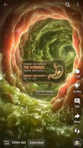 Inside the 7-METER Tunnel: Small Intestine 😨 VR 360/Extreme VR 360