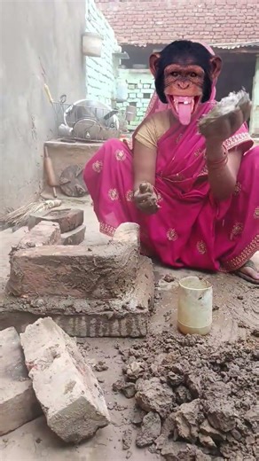 Bandar mama Dawat khane Aaye🐒🍇 short video🙏✨