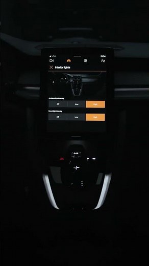 Polestar 2 Interior Light Settings