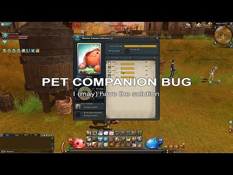 Ragnarok Online 2 (RO2) Pet Companion Bug