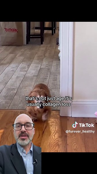 Most of the things we call “weird dog behavior” are actually early signs that something’s wrong. When you know what to look for, you can fix the problem before it turns serious. #doghealth #dogbehavior #naturalpetcare #vettips #dogparents