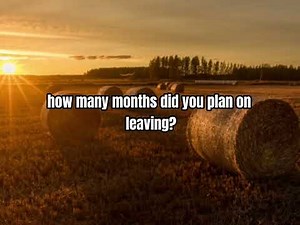 Dasha - Austin (Clean Version & Lyrics)