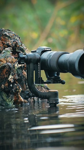 One Shot, One Moment 📸 #shorts #wildlife #nature #travel #discounts #fishinggear #adventure | SK.Photography 2.O